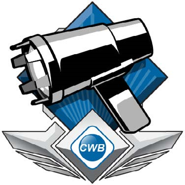 Basic Inspection Codes and Methods Badge Image