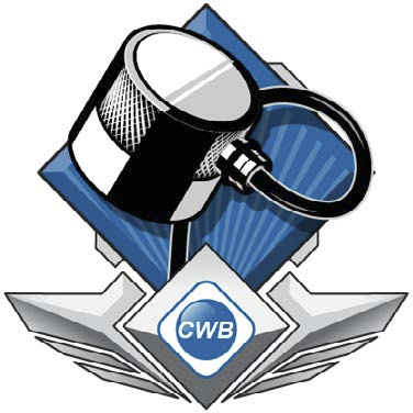 Ultrasonic Inspection Badge Image